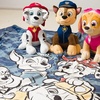 image:imageBarbie Kids Bedding Soft Plush Cozy Sherpa Blanket Throw 46 in x 60 in Officially Licensed Product by FrancoPaw Patrol