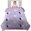 image:imageDisney Frozen 2 Kids Bedding Super Soft Microfiber Reversible Comforter TwinFull Official Disney Product By FrancoDisney Frozen 2