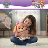 image:imageFranco Avatar Appa Weighted Cuddle Pillow 3lb Soft Plush amp Cozy Pilow for Sensory Comfort 15 Tall Officially Licensed ProductPaw Patrol Skye