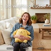 image:imageFranco Avatar Appa Weighted Cuddle Pillow 3lb Soft Plush amp Cozy Pilow for Sensory Comfort 15 Tall Officially Licensed ProductPompompurin