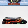 image:imageFranco Kids Bedding Soft Plush Micro Raschel Throw 46 in x 60 in Avatar The Last AirbenderHow to Train Your Dragon  Flying Dragons