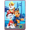 image:imageFranco Kids Bedding Soft Plush Micro Raschel Throw 46 in x 60 in Avatar The Last AirbenderPaw Patrol