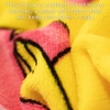 image:imageFranco Kids Bedding Soft Plush Micro Raschel Throw 46 in x 60 in Avatar The Last AirbenderPokemon Girl
