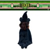 image:imageFranco Kids Bedding Super Soft Plush Cuddle Pillow Buddy One Size BatmanWicked  Elphaba the Wicked Witch