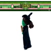 image:imageFranco Kids Bedding Super Soft Plush Cuddle Pillow Buddy One Size BatmanWicked  Elphaba the Wicked Witch