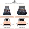 image:imageFranco Kids Bedding Super Soft Plush Micro Raschel Blanket 62 in x 90 in Baby SharkJurassic World Dominion