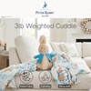 image:imageFranco Peter Rabbit Bedding Weighted Cuddle Pillow  3lb Soft Plush amp Cozy Pillow for Comfort Officially Licensed Product CalmPeter Rabbit