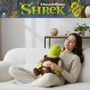 image:imageFranco Peter Rabbit Bedding Weighted Cuddle Pillow  3lb Soft Plush amp Cozy Pillow for Comfort Officially Licensed Product CalmShrek