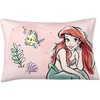 Disney Princess Ariel