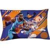 Space Jam 2 a New Legacy