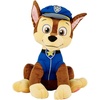 Paw Patrol Chase