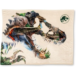 image:imageFranco Kids Bedding Soft Plush Micro Raschel Throw 46 in x 60 in Avatar The Last AirbenderJurassic World Rebirth Movie