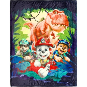 image:imageFranco Kids Bedding Soft Plush Micro Raschel Throw 46 in x 60 in Avatar The Last AirbenderPaw Patrol Dino Movie