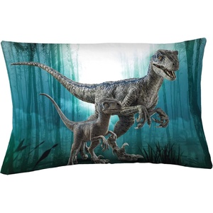 image:imageFranco Kids Bedding Super Soft Microfiber Reversible Pillowcase 20 in x 30 in Sonic The HedgehogJurassic World Dominion