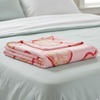 image:imageFranco Kids Bedding Super Soft Plush Throw Blanket 46 in x 60 in MarioShrek  Fiona