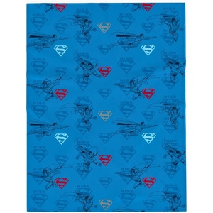 image:imageWWE Rhea Ripley Main Event Champions Bedding Super Soft Throw Blanket 46 in x 60 in Official Licensed Product By Franco CollectiblesSuperman